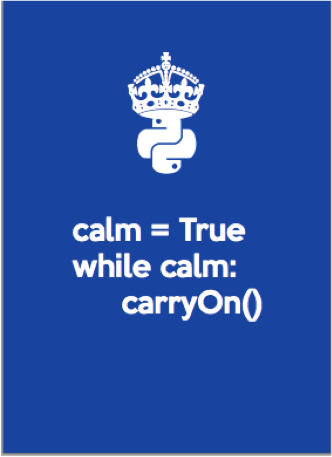 while true carry on python poster